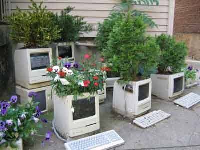 Computer Gardening